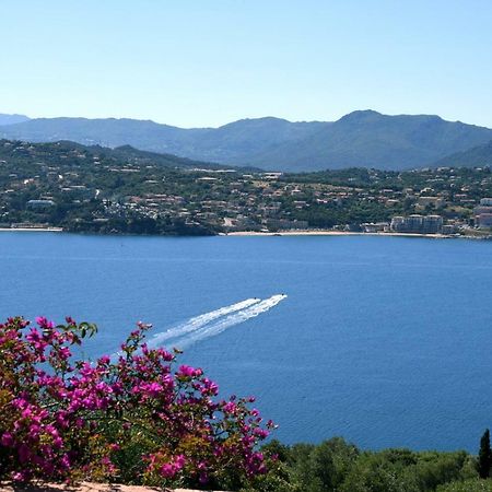 أولميتو Villa Vetricella Corse Sud المظهر الخارجي الصورة
