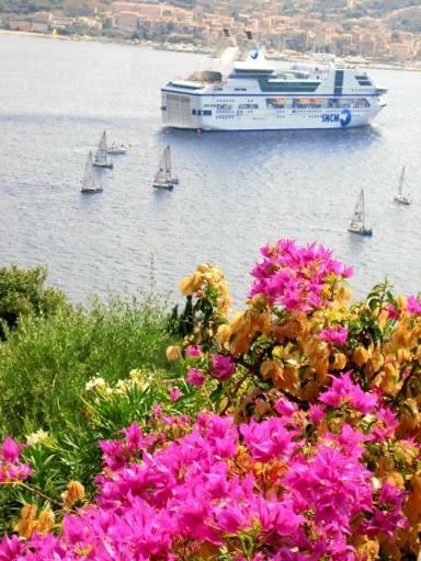 أولميتو Villa Vetricella Corse Sud المظهر الخارجي الصورة