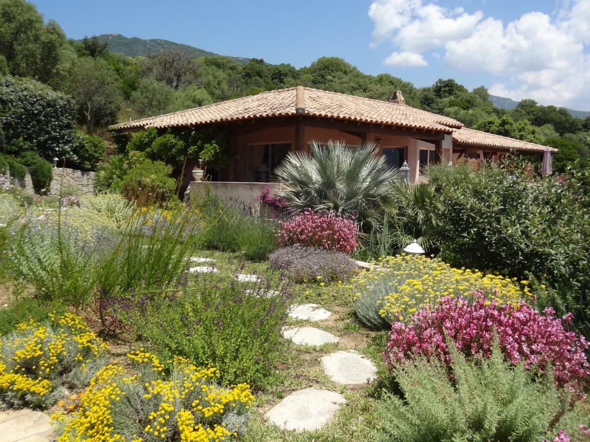 أولميتو Villa Vetricella Corse Sud المظهر الخارجي الصورة