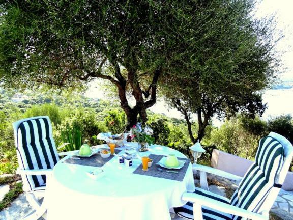 أولميتو Villa Vetricella Corse Sud المظهر الخارجي الصورة